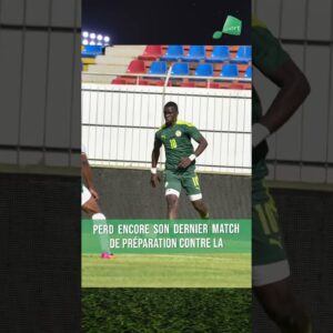 CAN U17 : Grosse défaite des Lionceaux contre la Zambie (4-2)